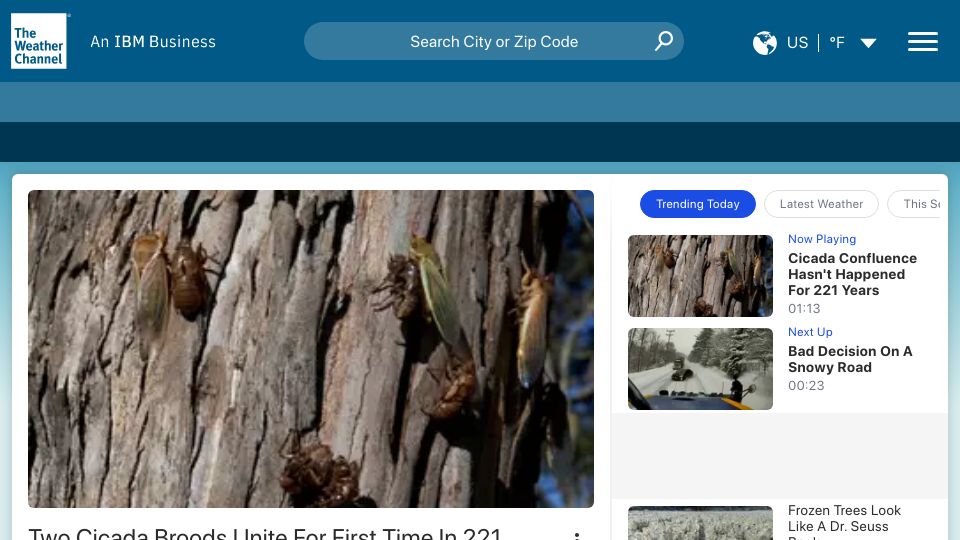 Screenshot of weather.com: Two Cicada Broods Emerge Together