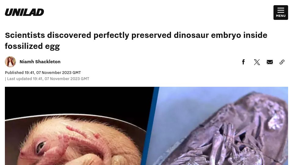 Screenshot of unilad.com: Scientists discovered perfectly preserved dinosaur embryo inside fossilized egg