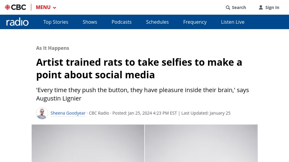 Screenshot of cbc.ca: Artist trained rats to take selfies to make a point about social media