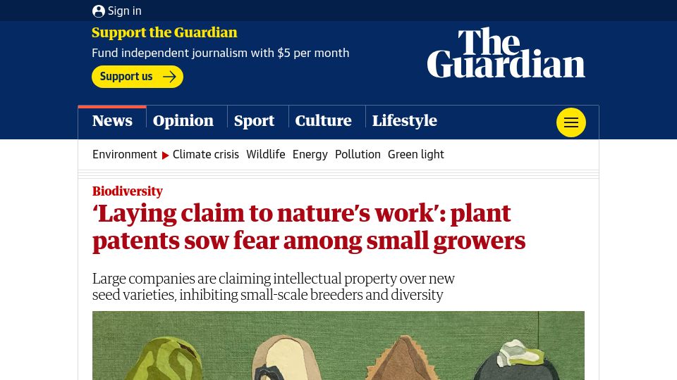 Screenshot of theguardian.com: Plant patents sow fear among small growers