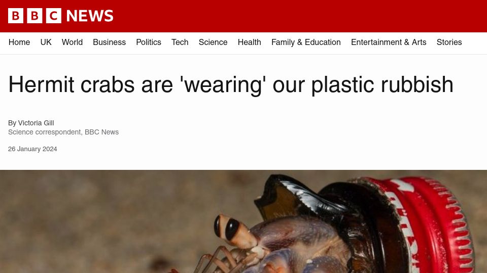 Screenshot of bbc.com: Hermit crabs are using trash as shells