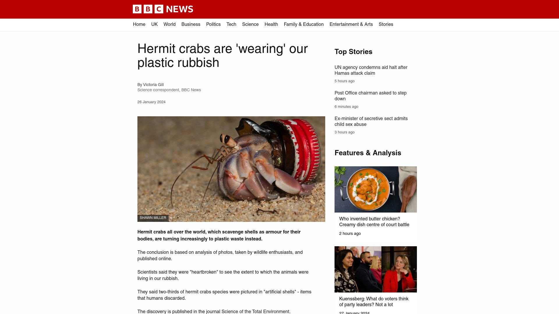 Screenshot of bbc.com: Hermit crabs are using trash as shells