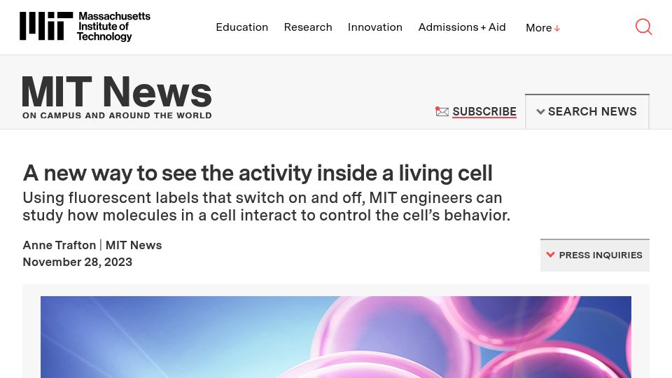 Screenshot of news.mit.edu: A new way to see the activity inside a living cell