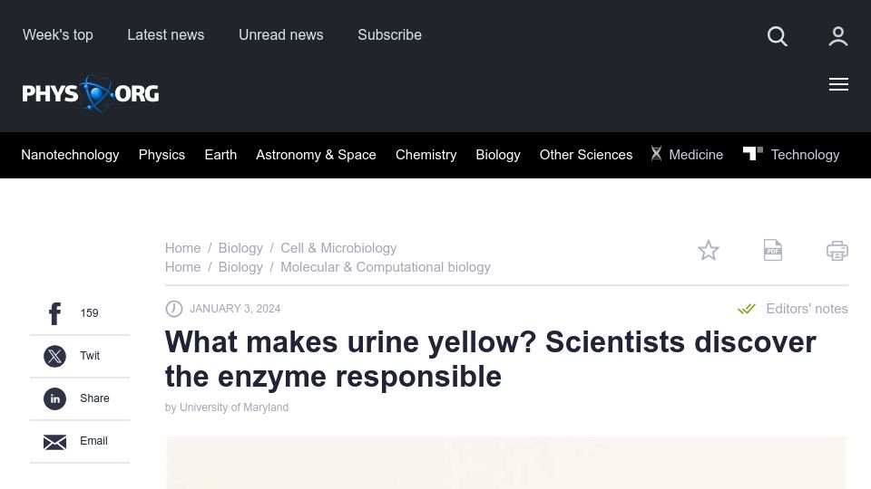Screenshot of phys.org: Researchers have identified the enzyme that gives urine its yellow hue