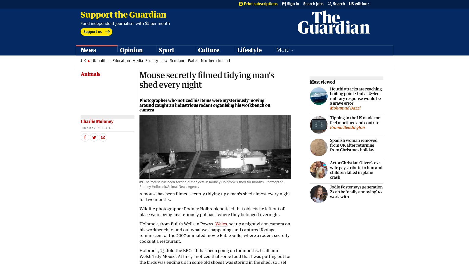 Screenshot of theguardian.com: Mouse filmed tidying man's shed every night
