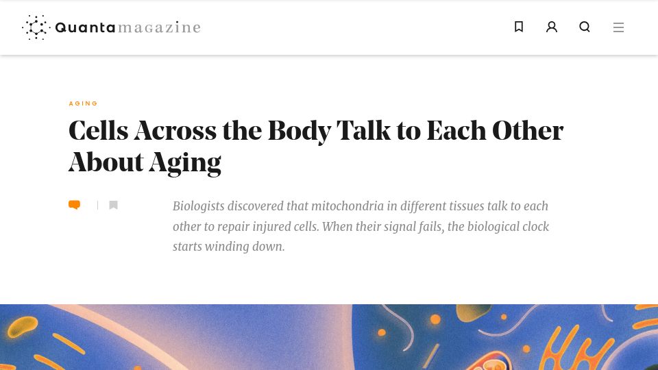 Screenshot of quantamagazine.org: Cells across the body talk to each other about aging