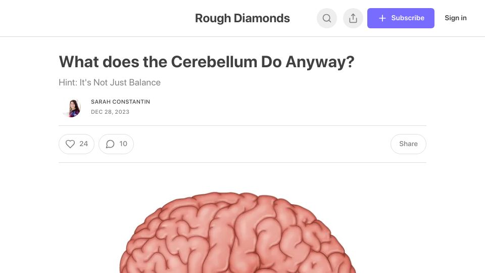 Screenshot of sarahconstantin.substack.com: What does the cerebellum do?