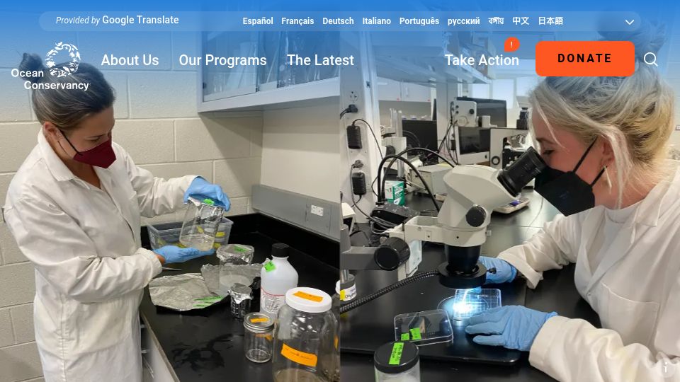 Screenshot of oceanconservancy.org: Study Finds Microplastics in Nearly 90% of Proteins Sampled