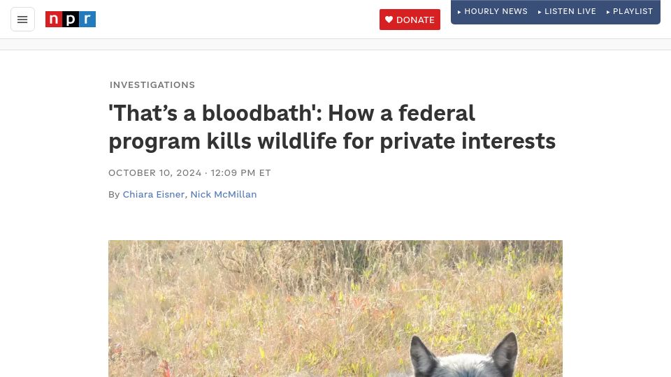 Screenshot of npr.org: 'That's a bloodbath': How a federal program kills wildlife for private interests