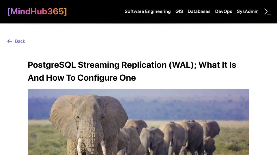 Screenshot of mindhub365.com: PostgreSQL Streaming Replication (WAL); What It Is and How to Configure One