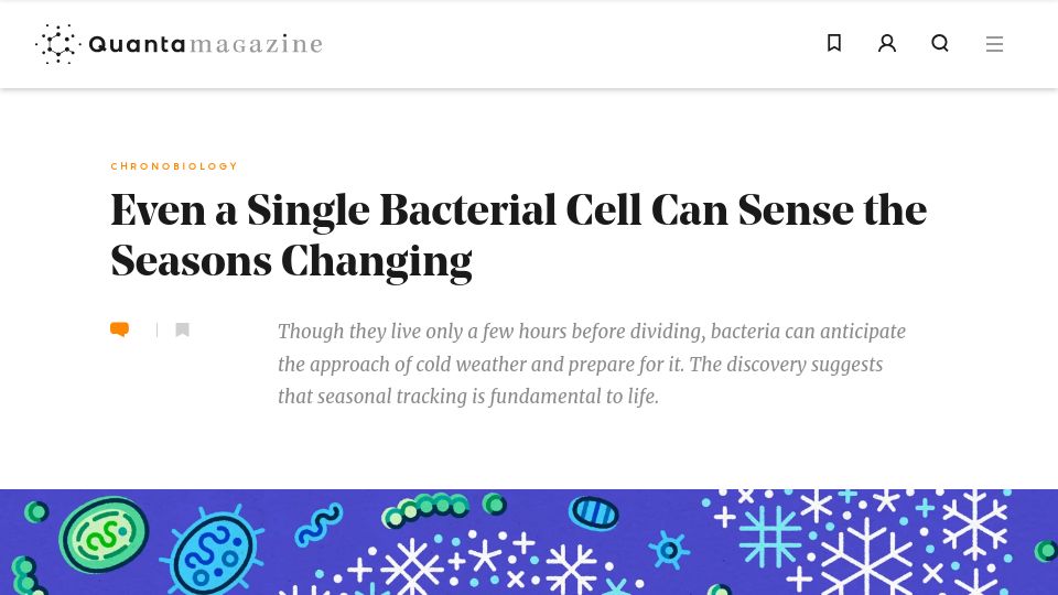 Screenshot of quantamagazine.org: Even a single bacterial cell can sense the seasons changing