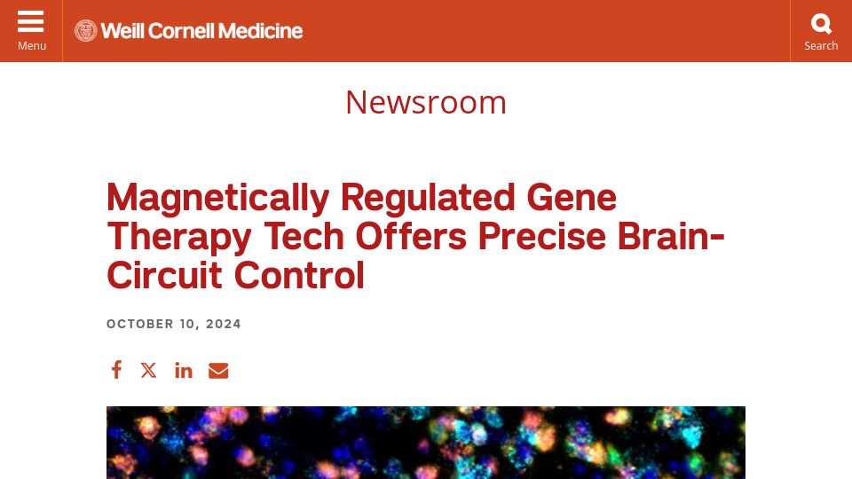 Screenshot of news.weill.cornell.edu: Magnetically regulated gene therapy offers precise brain-circuit control