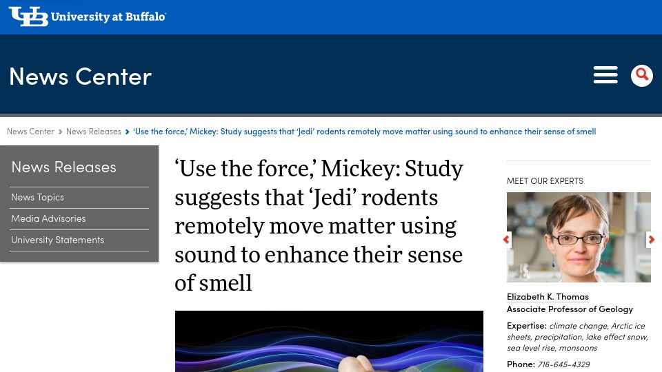 Screenshot of buffalo.edu: Rodents remotely move matter using sound to enhance their sense of smell: study