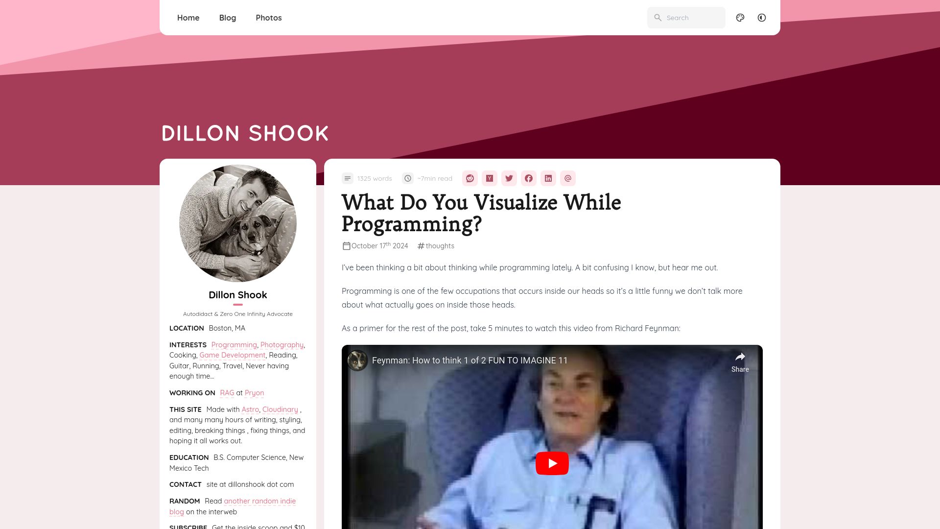 Screenshot of dillonshook.com: What do you visualize while programming?