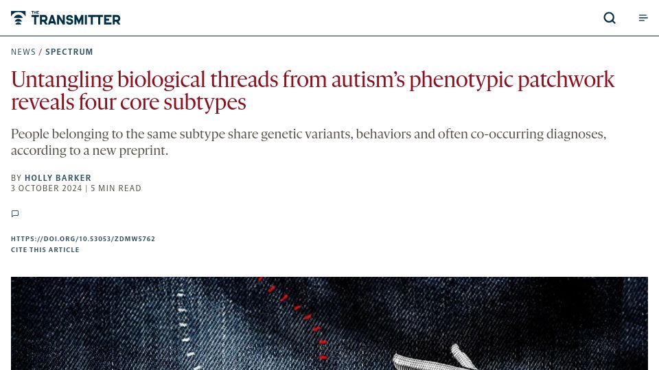Screenshot of thetransmitter.org: Autism's Four Core Subtypes