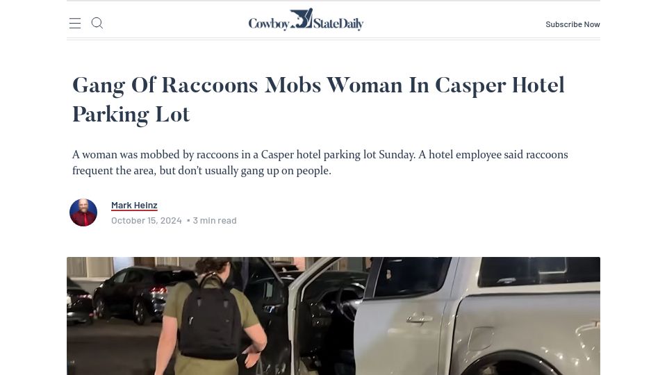 Screenshot of cowboystatedaily.com: Gang of Raccoons Mobs Woman in Casper Hotel Parking Lot