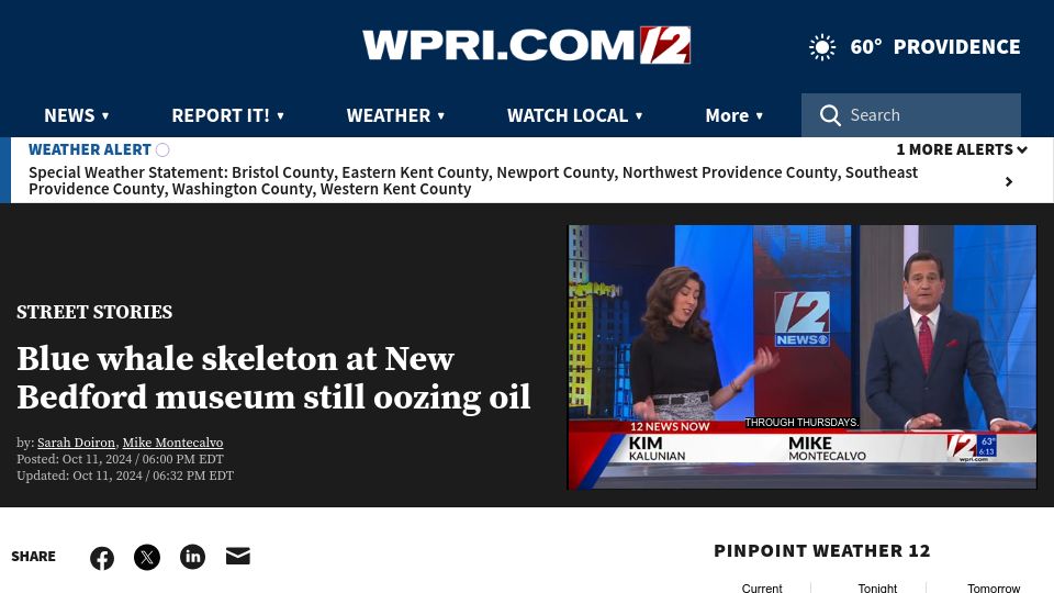Screenshot of wpri.com: Blue whale skeleton at New Bedford museum still oozing oil