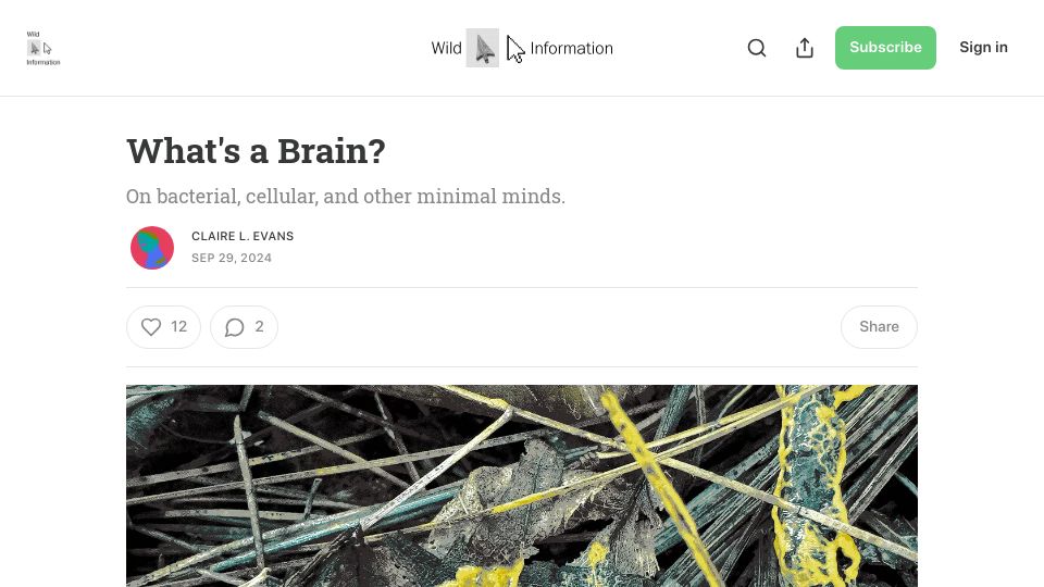 Screenshot of clairelevans.substack.com: What's a Brain?