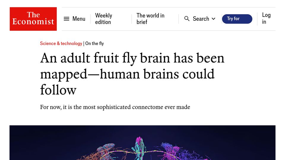 Screenshot of economist.com: An adult fruit fly brain has been mapped