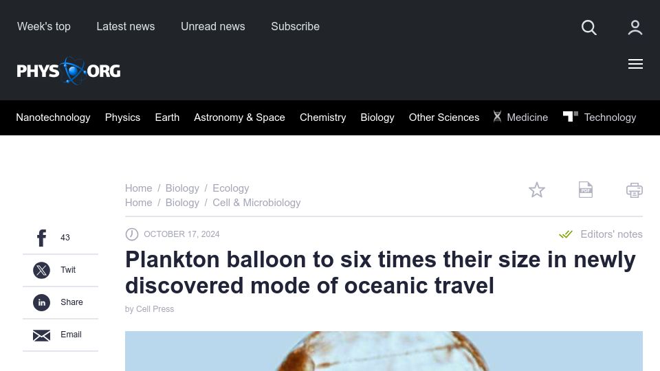 Screenshot of phys.org: Plankton balloon to six times size in newly discovered mode of oceanic travel