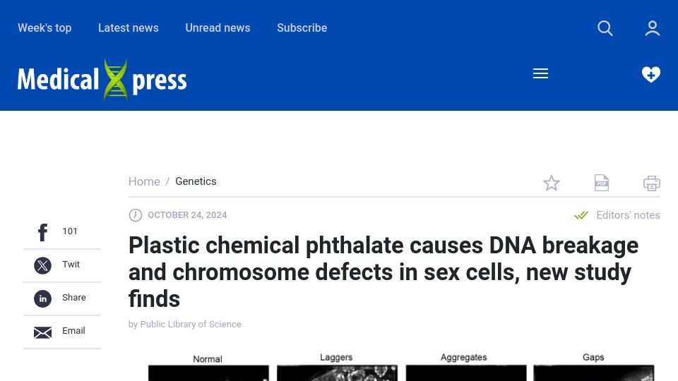 Screenshot of medicalxpress.com: Plastic chemical phthalate causes DNA breakage, chromosome defects, study finds