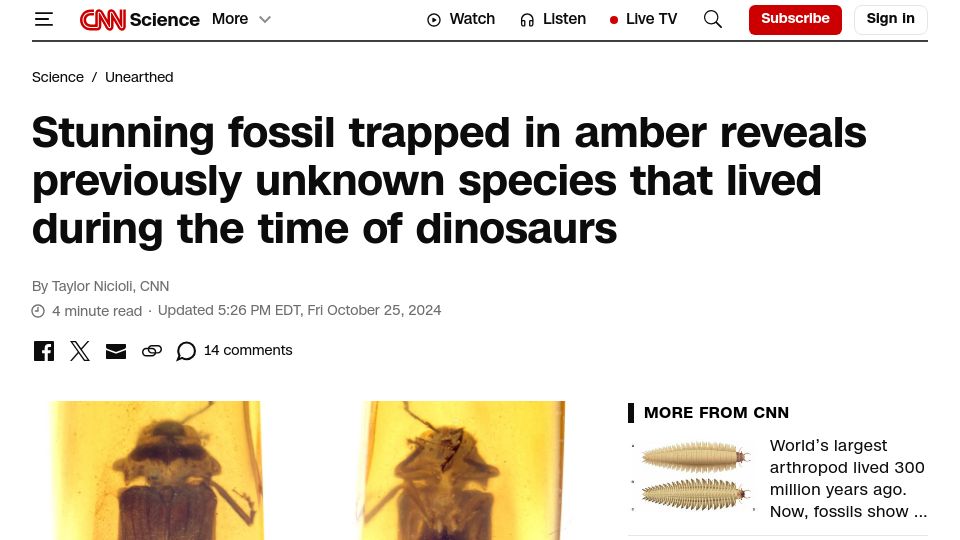 Screenshot of cnn.com: Stunning fossil trapped in amber reveals previously unknown species