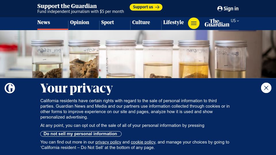 Screenshot of theguardian.com: The Brain Collector