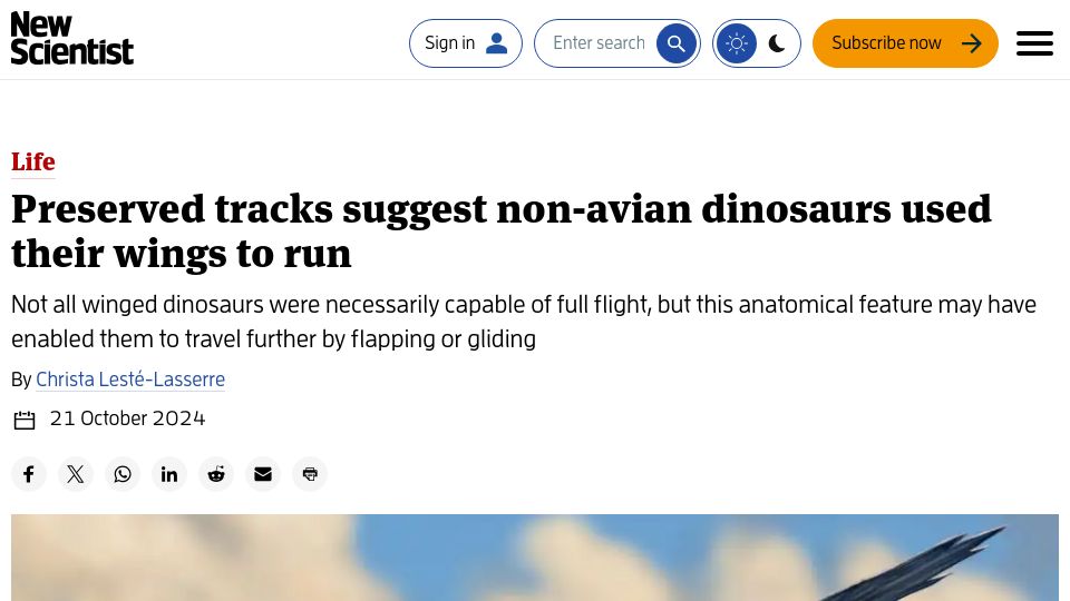 Screenshot of newscientist.com: Preserved tracks suggest non-avian dinosaurs used their wings to run