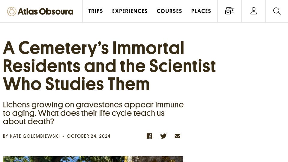 Screenshot of atlasobscura.com: Lichens in cemetaries and a scientist who studies them