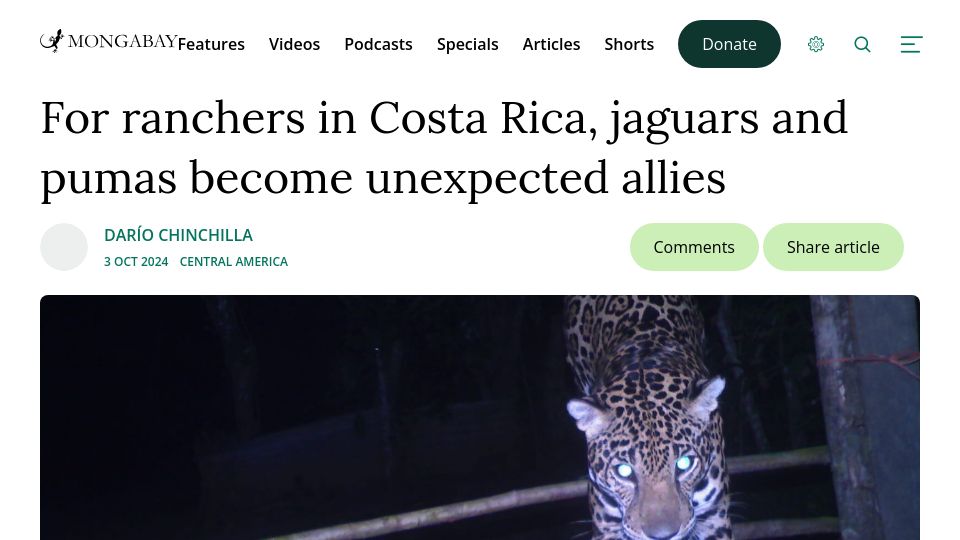 Screenshot of news.mongabay.com: For ranchers in Costa Rica, jaguars and pumas become unexpected allies