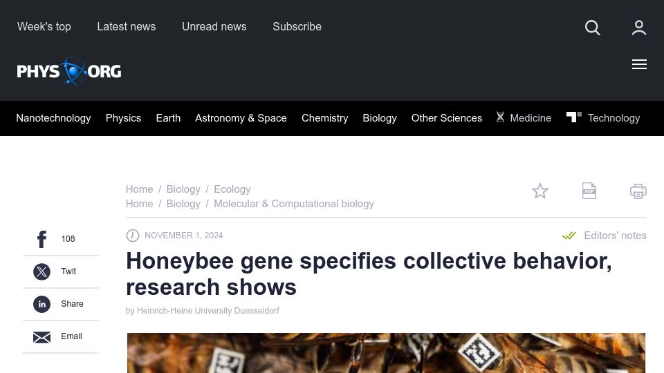 Screenshot of phys.org: Honeybee gene specifies collective behavior, research shows