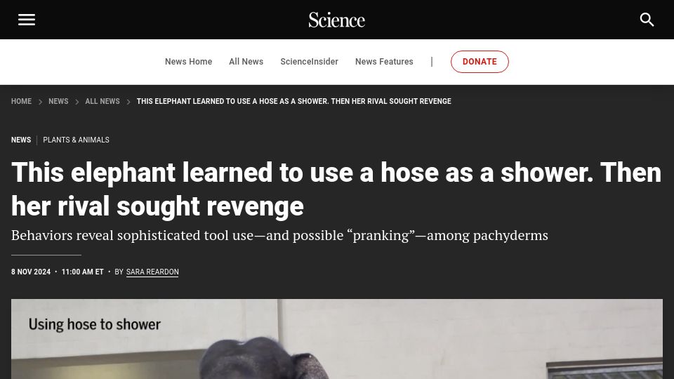 Screenshot of science.org: Behaviors reveal sophisticated tool use and possible “pranking” among pachyderms
