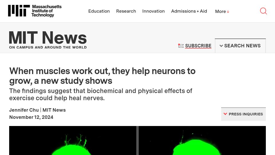Screenshot of news.mit.edu: When muscles work out, they help neurons to grow, a new study shows