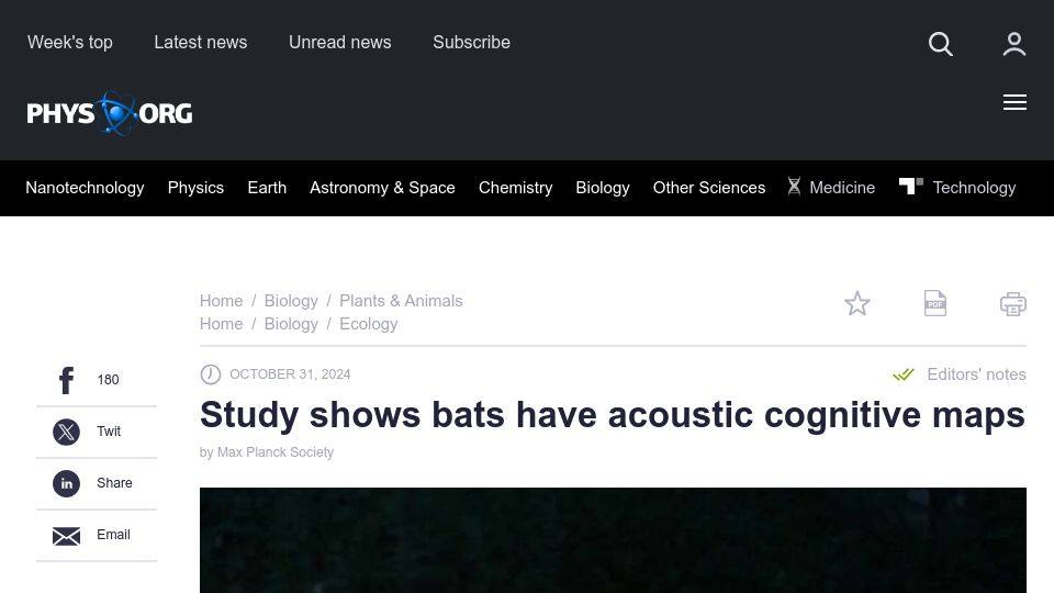 Screenshot of phys.org: Study shows bats have acoustic cognitive maps