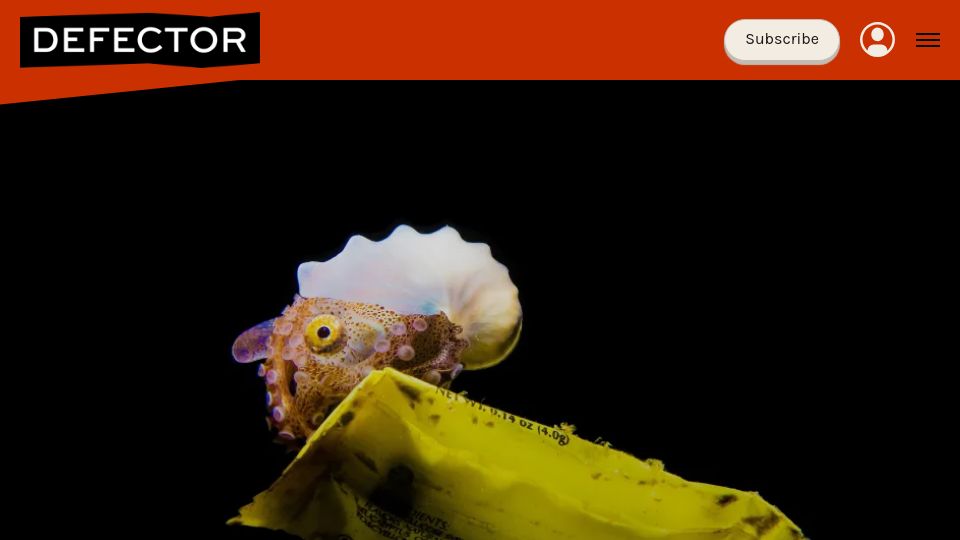 Screenshot of defector.com: The Argonaut Octopus Has Mastered the Free Ride