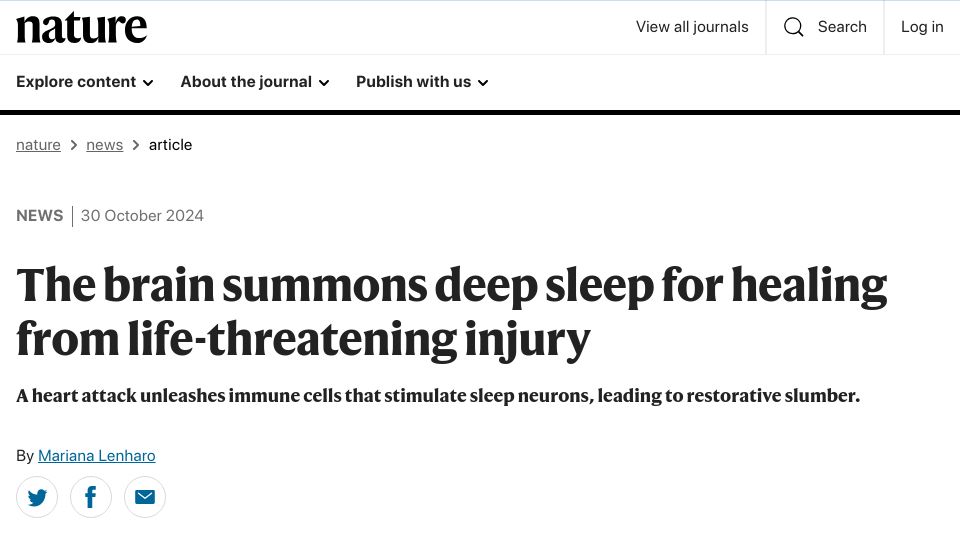 Screenshot of nature.com: The brain summons deep sleep for healing from life-threatening injury