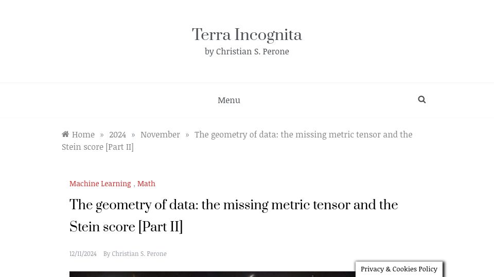 Screenshot of blog.christianperone.com: The geometry of data: the missing metric tensor and the Stein score [Part II]