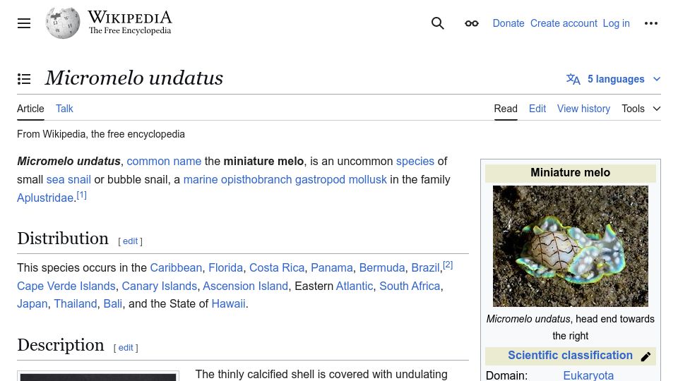 Screenshot of en.wikipedia.org: Micromelo Undatus