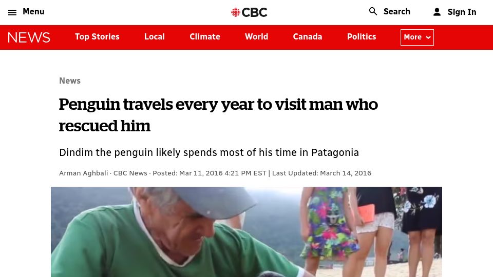 Screenshot of cbc.ca: Penguin travels every year to visit man who rescued him (2016)