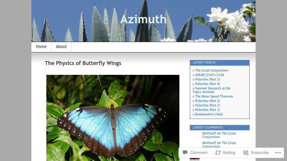 Screenshot of johncarlosbaez.wordpress.com: The Physics of Butterfly Wings