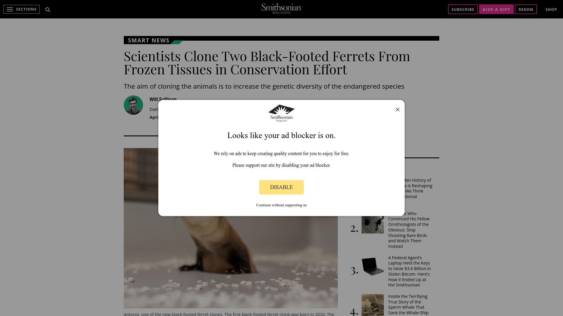 Screenshot of smithsonianmag.com: Scientists Clone Two Black-Footed Ferrets from Frozen Tissues