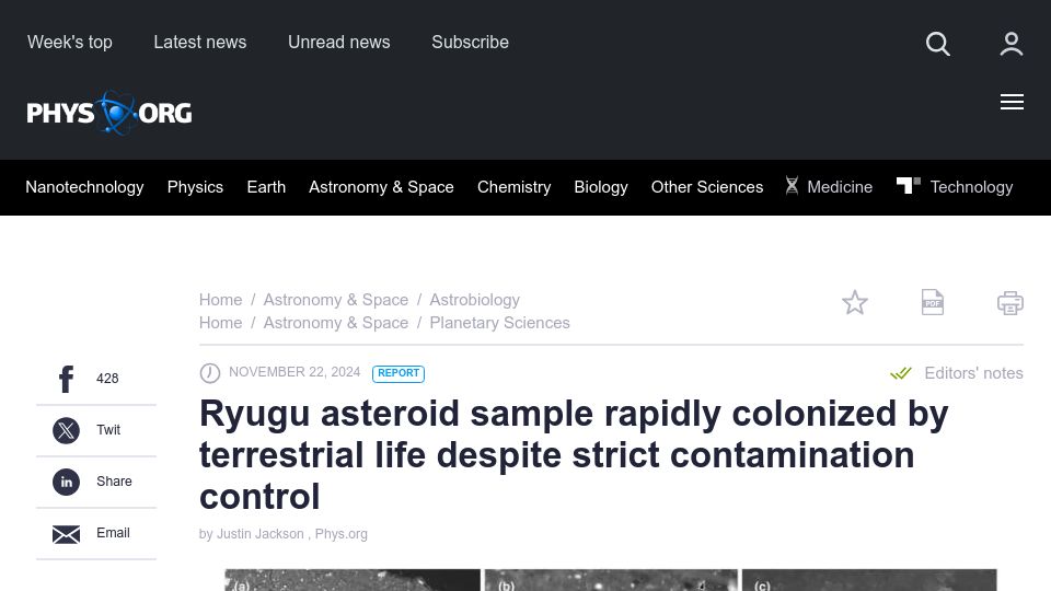 Screenshot of phys.org: Ryugu asteroid sample rapidly colonized by terrestrial life