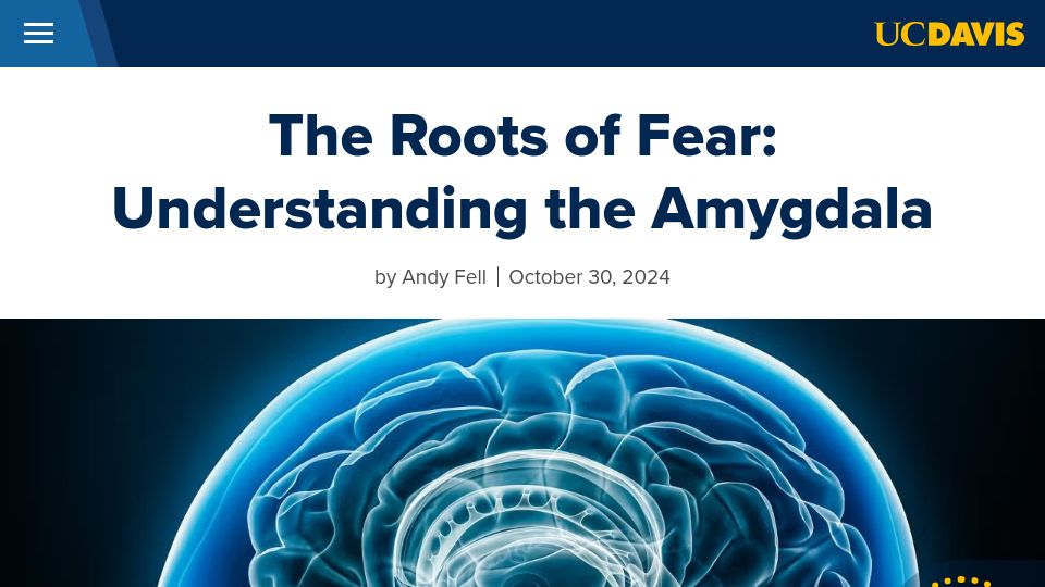 Screenshot of ucdavis.edu: The Roots of Fear: Understanding the Amygdala