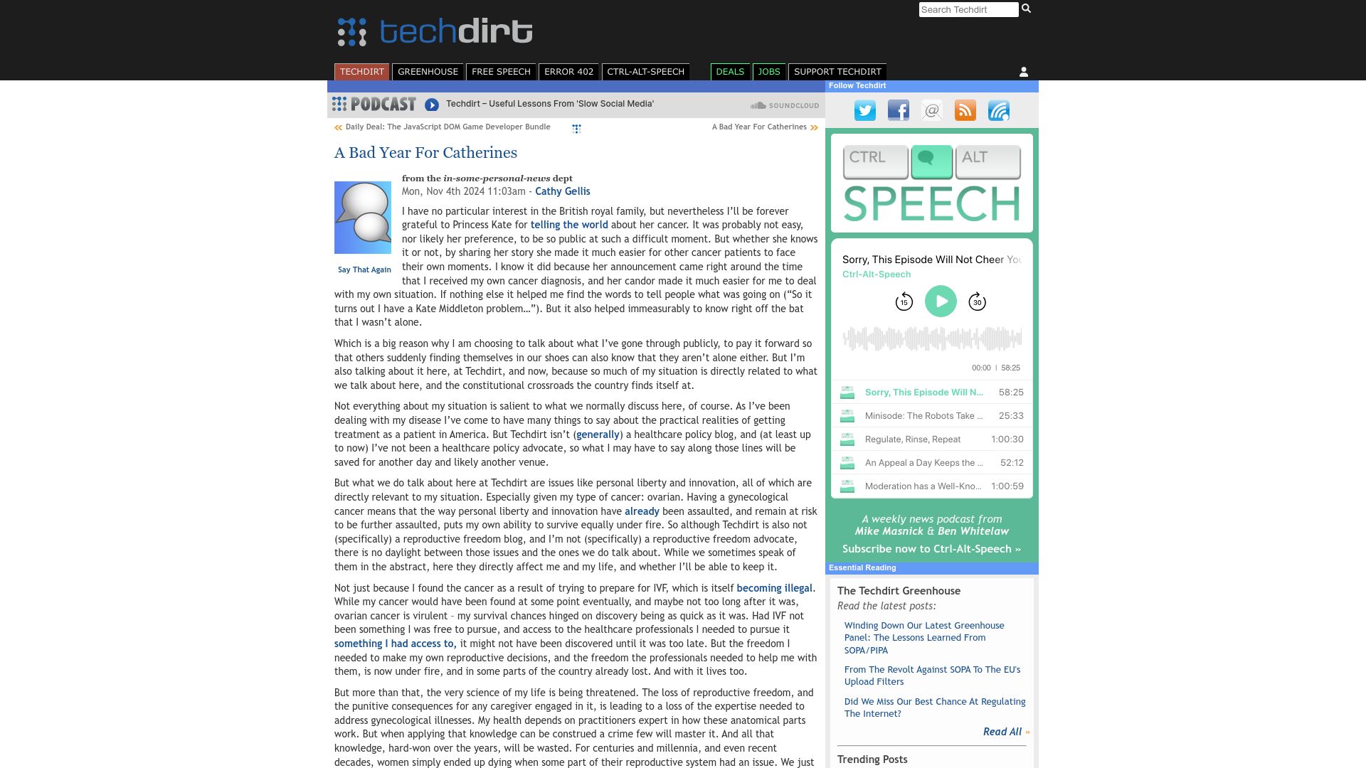 Screenshot of techdirt.com: A Bad Year for Catherines