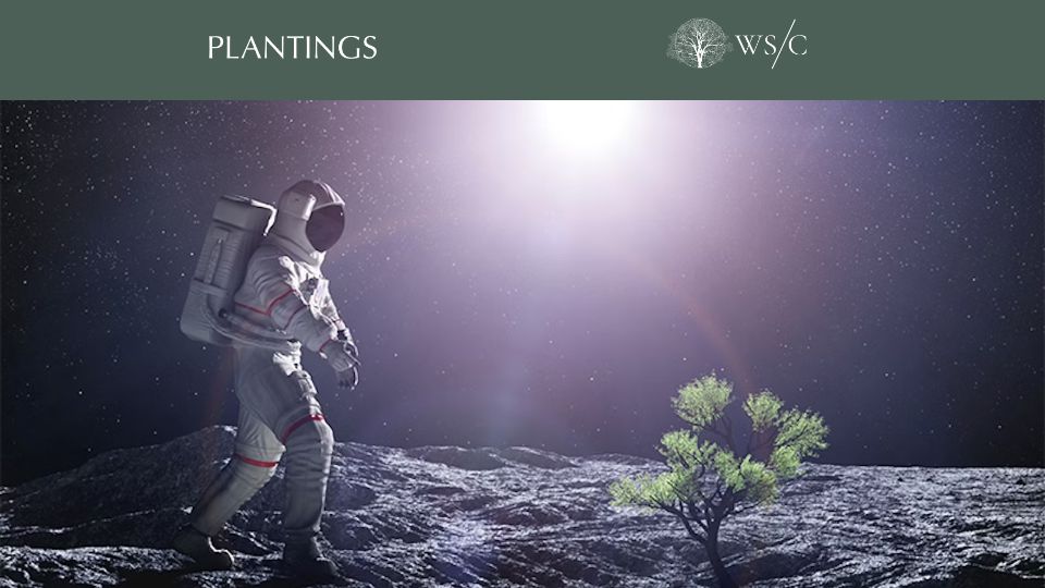 Screenshot of worldsensorium.com: Will plants grow on the moon?