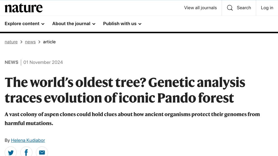 Screenshot of nature.com: World’s oldest tree? Genetic analysis traces evolution of iconic Pando forest