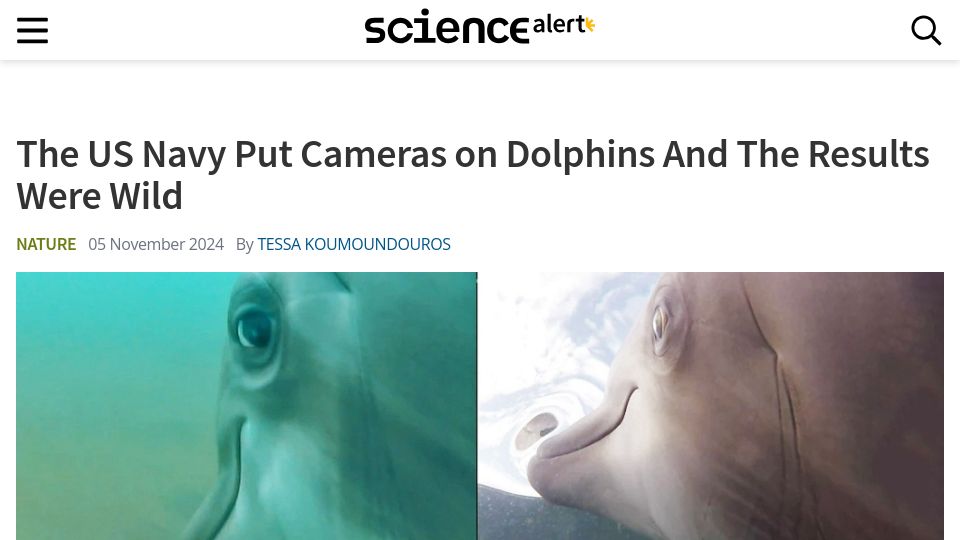 Screenshot of sciencealert.com: The US Navy Put Cameras on Dolphins and the Results Were Wild