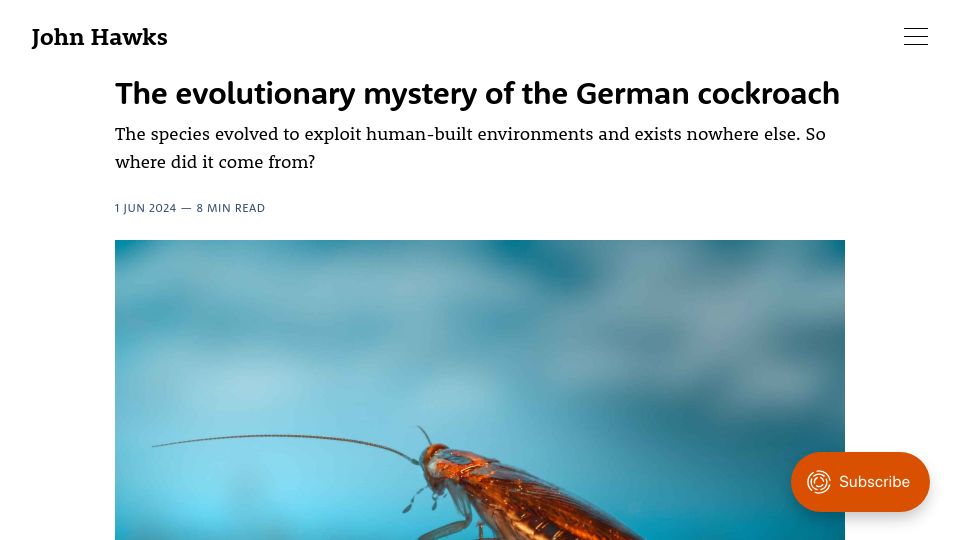 Screenshot of johnhawks.net: The evolutionary mystery of the German cockroach