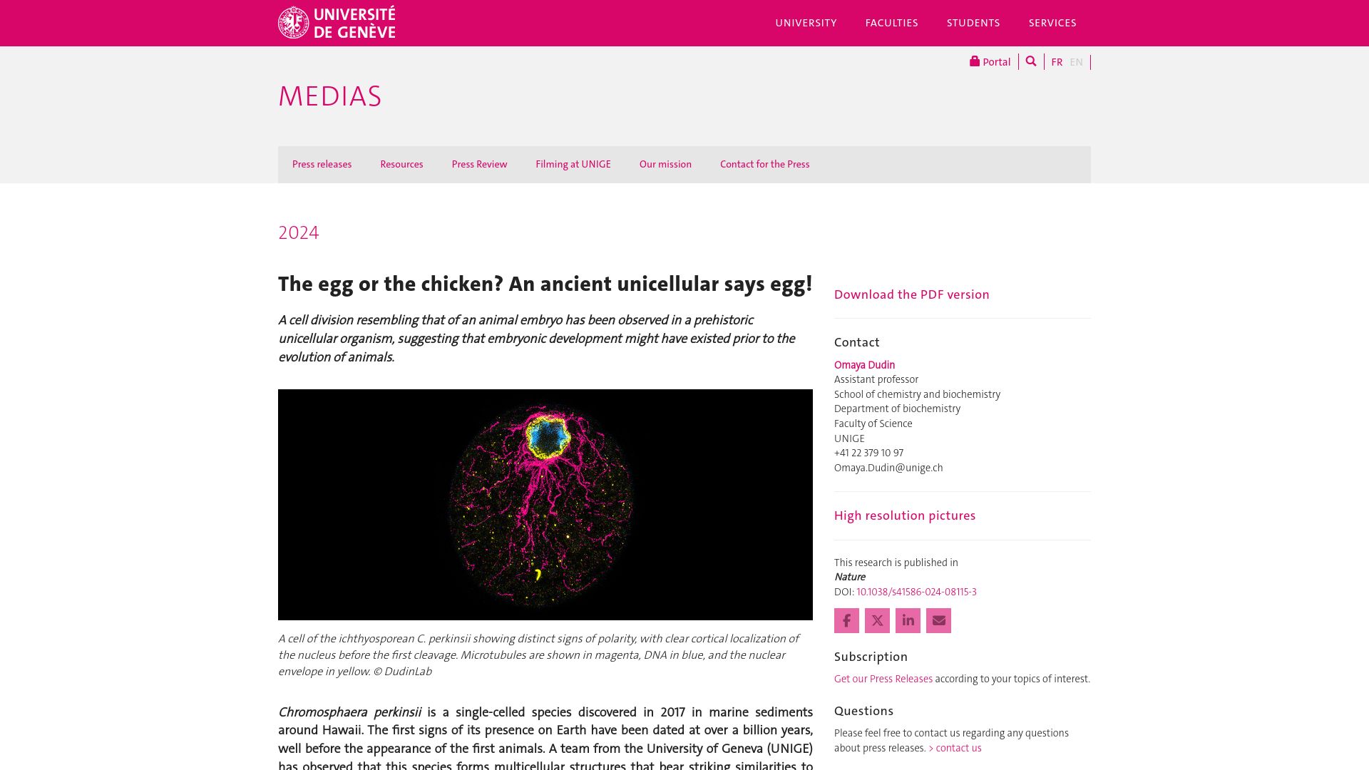 Screenshot of unige.ch: The egg or the chicken? An ancient unicellular says egg