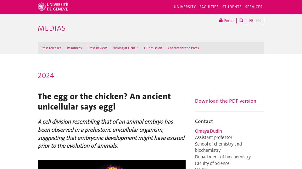 Screenshot of unige.ch: The egg or the chicken? An ancient unicellular says egg
